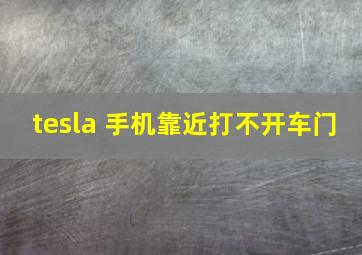 tesla 手机靠近打不开车门